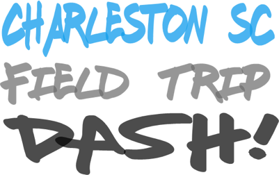 charleston sc field trip